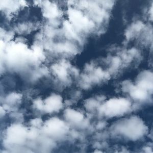 Meet your Posher, Mia